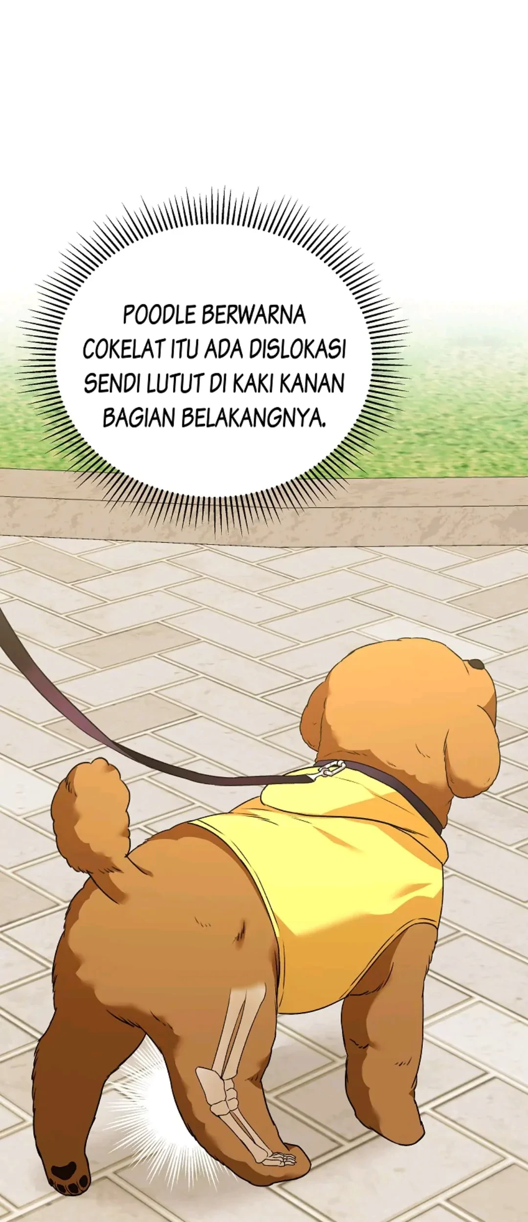 Hello? Veterinarian! Chapter 31 - Halaman 25