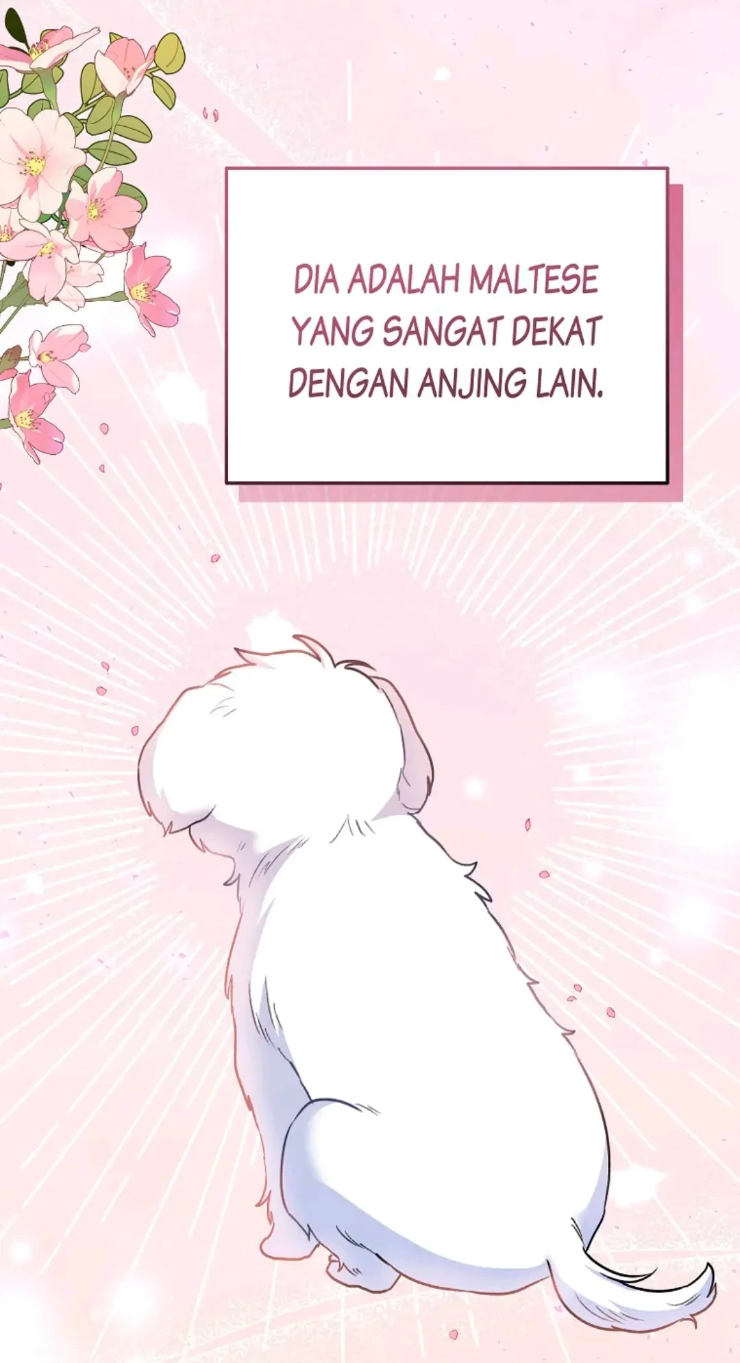 Hello? Veterinarian! Chapter 31 - Halaman 74