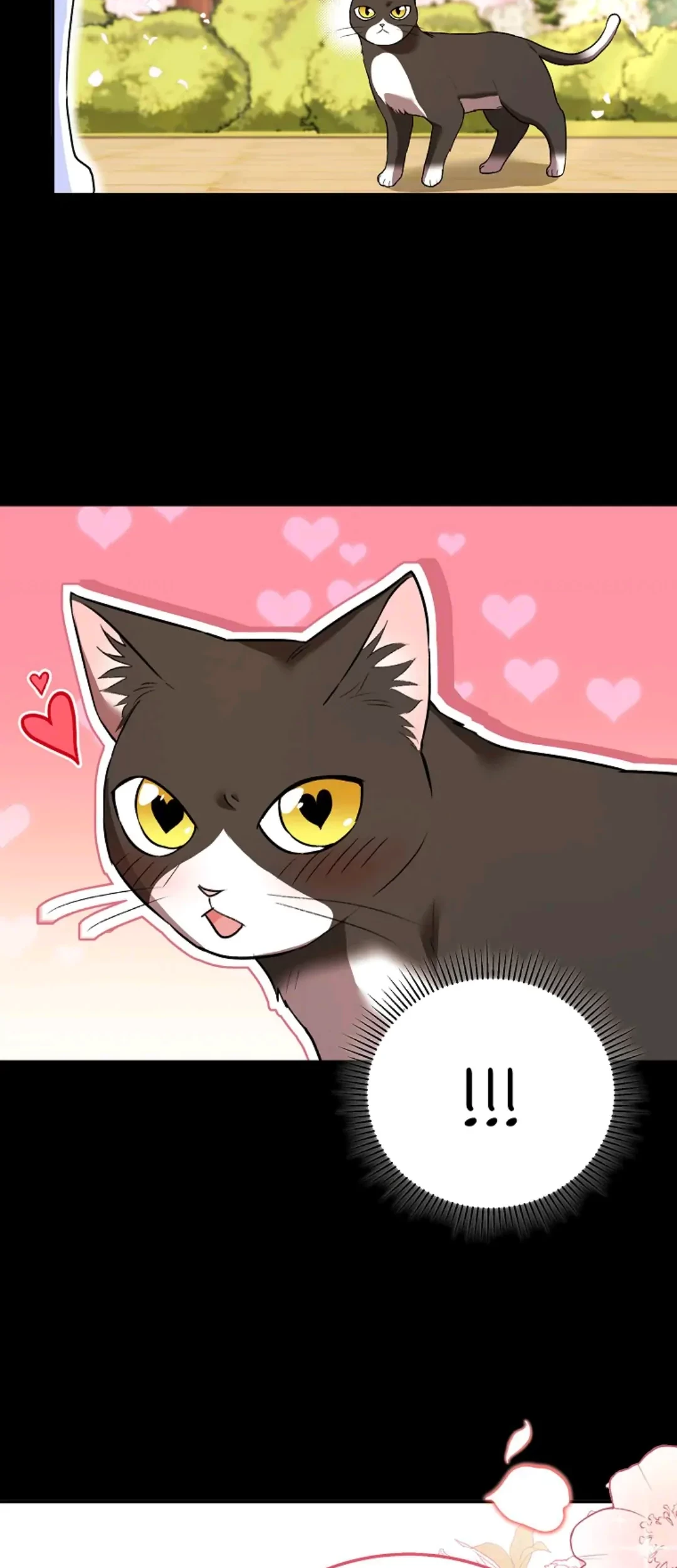 Hello? Veterinarian! Chapter 30 - Halaman 75