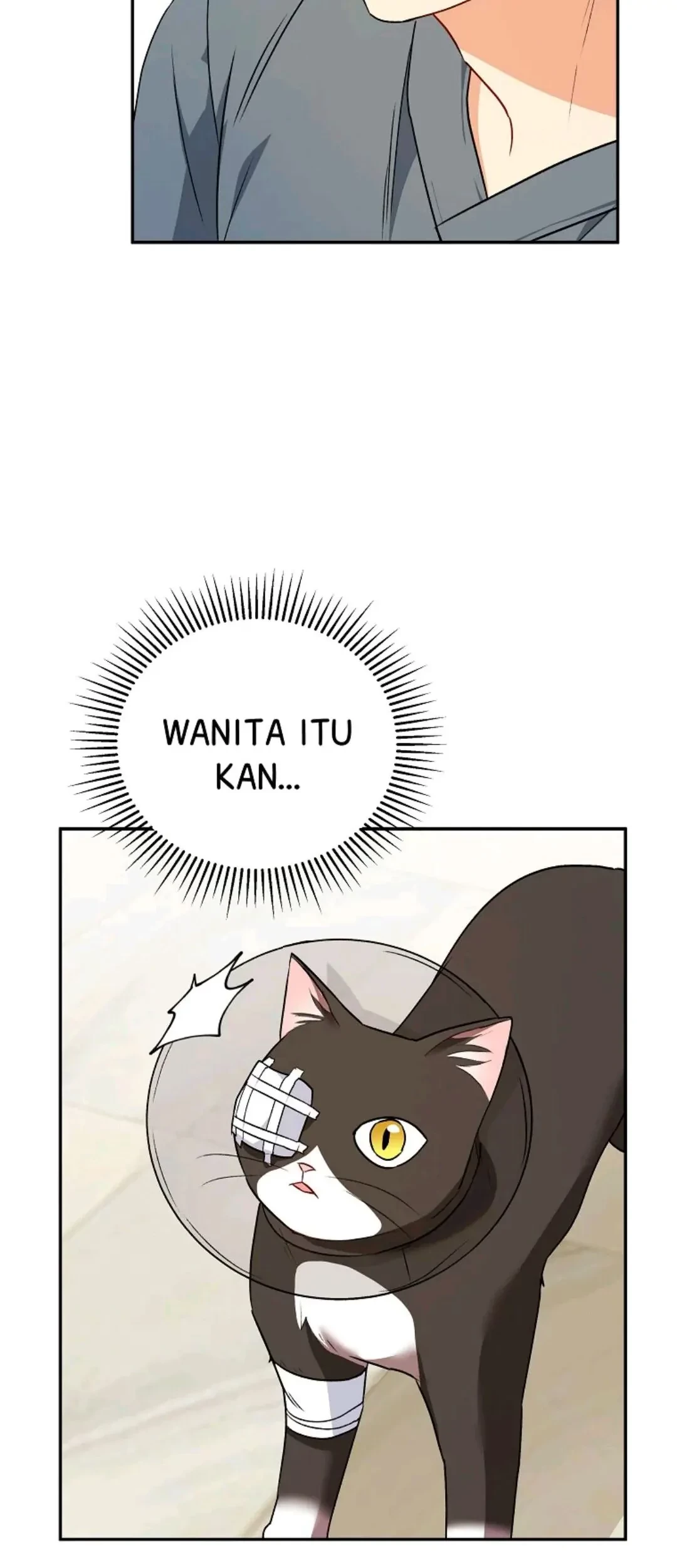 Hello? Veterinarian! Chapter 28 - Halaman 12