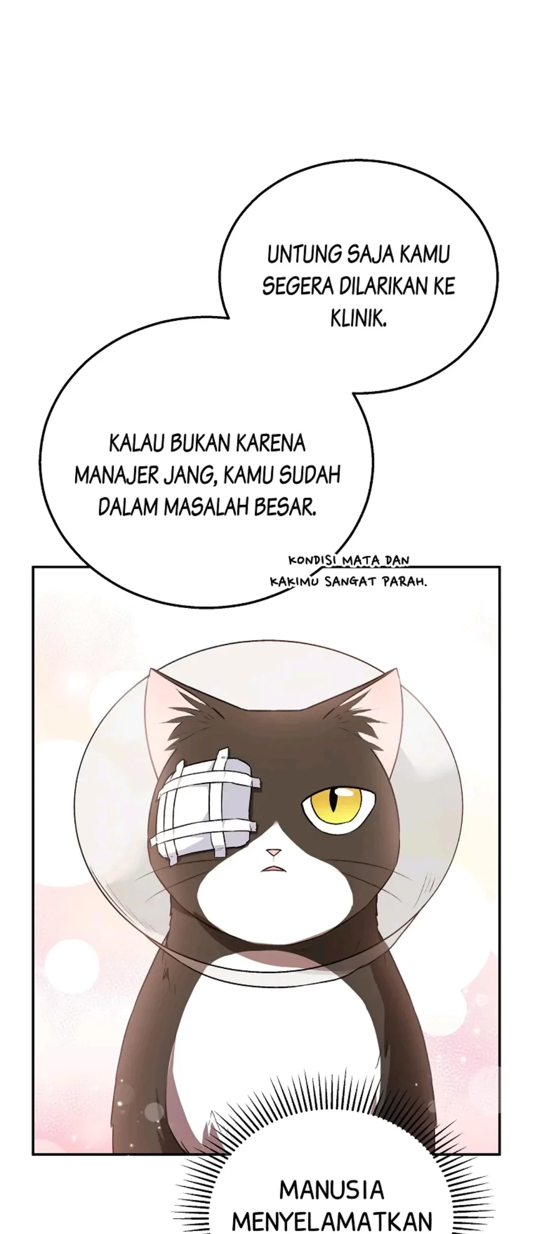 Hello? Veterinarian! Chapter 28 - Halaman 24