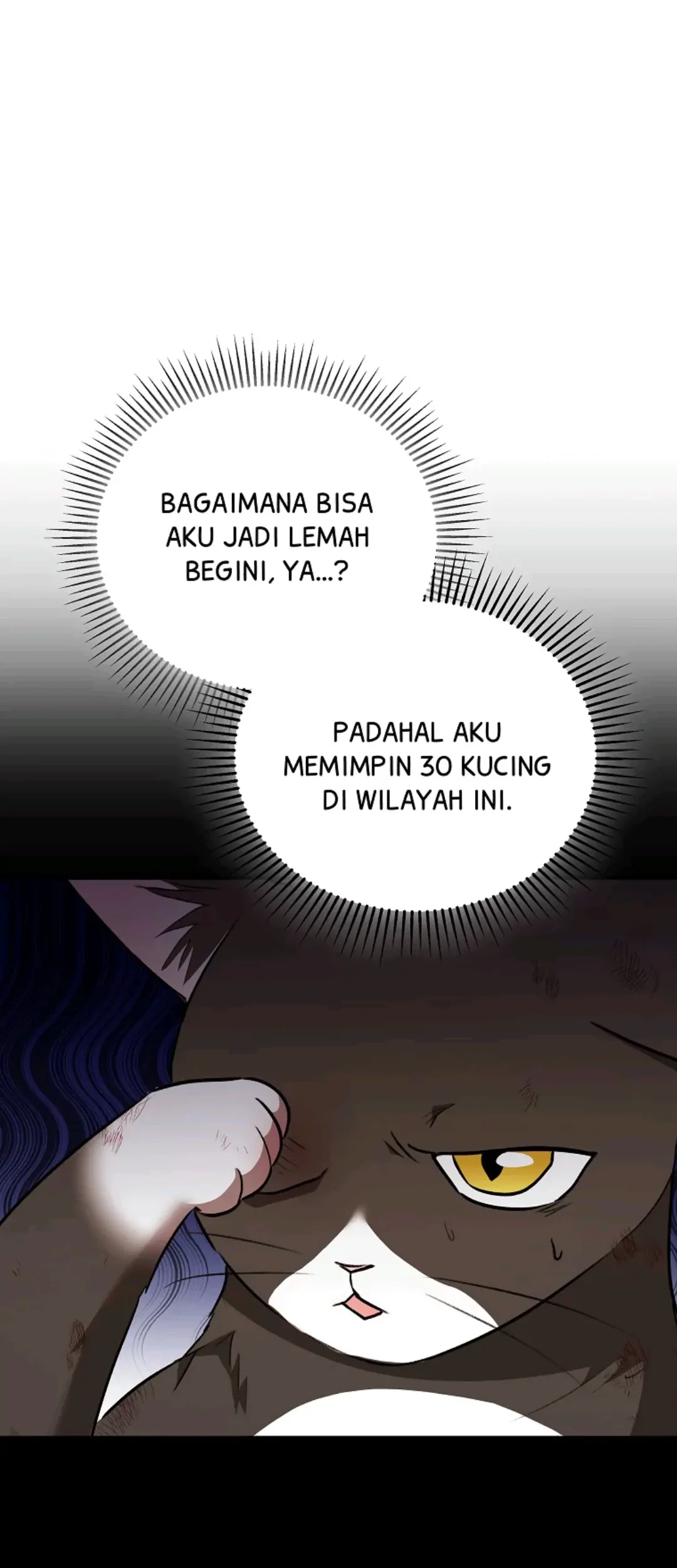 Hello? Veterinarian! Chapter 27 - Halaman 56