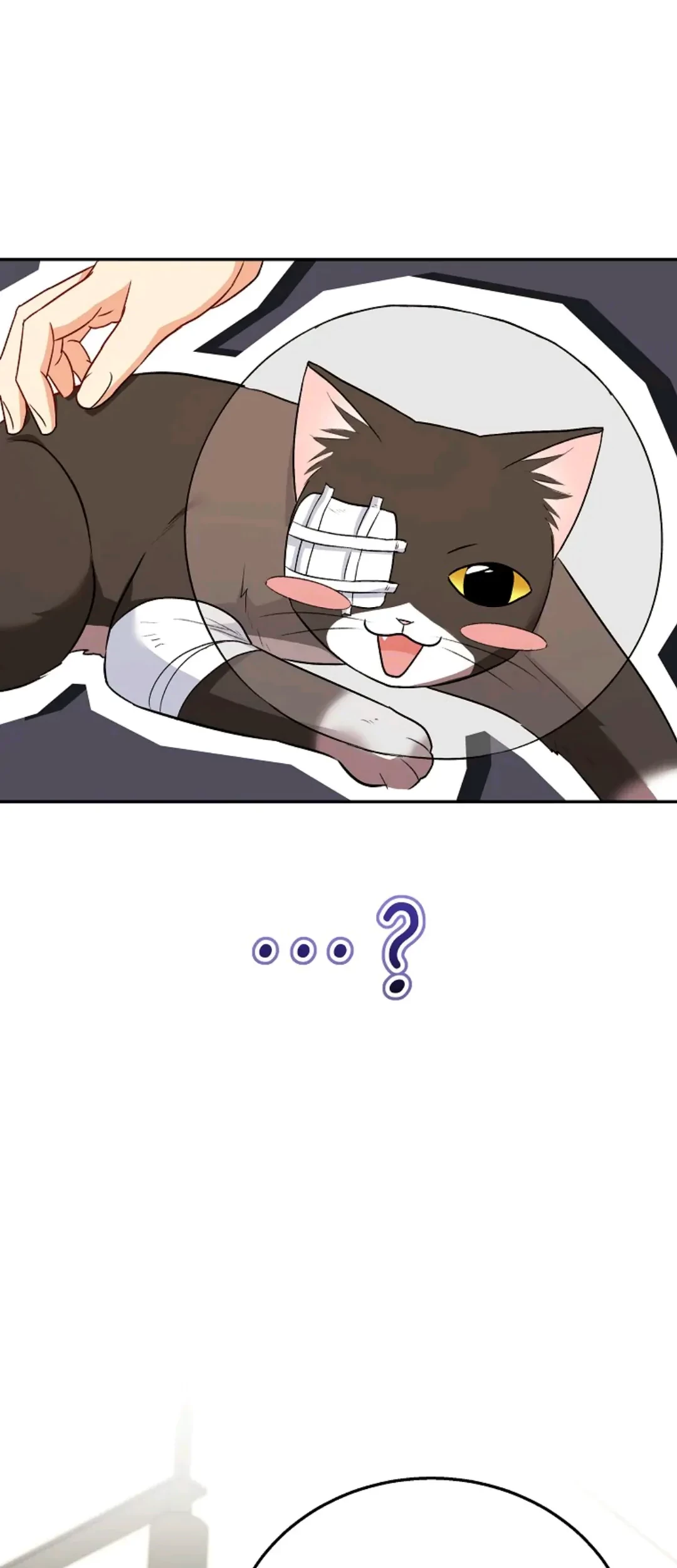 Hello? Veterinarian! Chapter 27 - Halaman 80