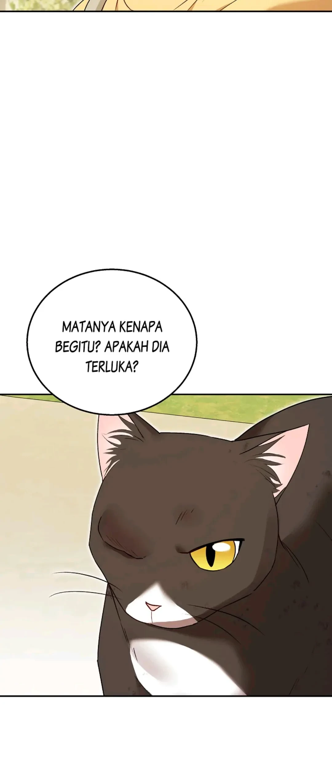 Hello? Veterinarian! Chapter 27 - Halaman 6