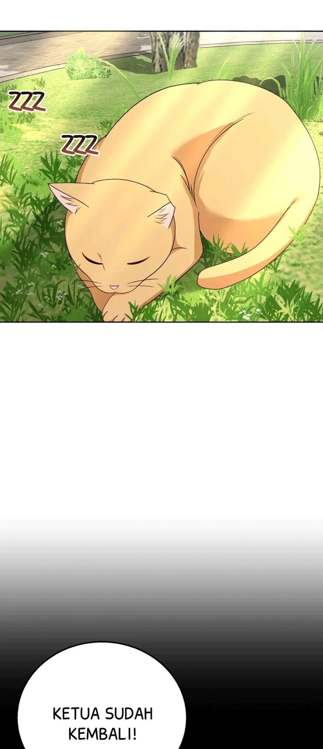 Hello? Veterinarian! Chapter 21 - Halaman 29