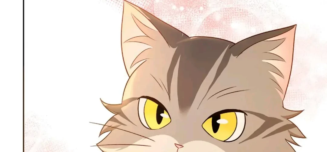 Hello? Veterinarian! Chapter 21 - Halaman 85