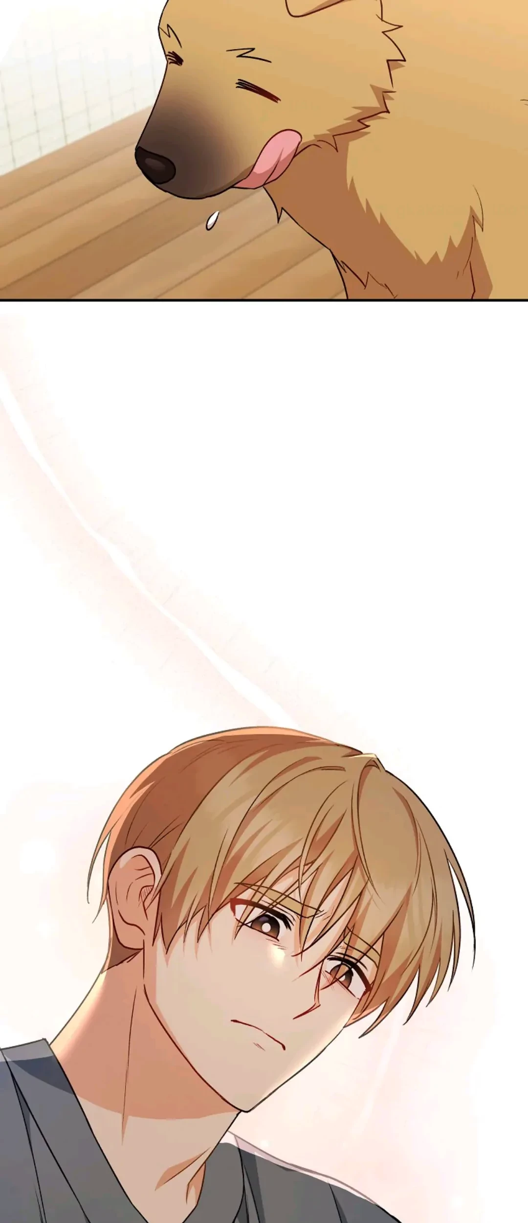Hello? Veterinarian! Chapter 19 - Halaman 45