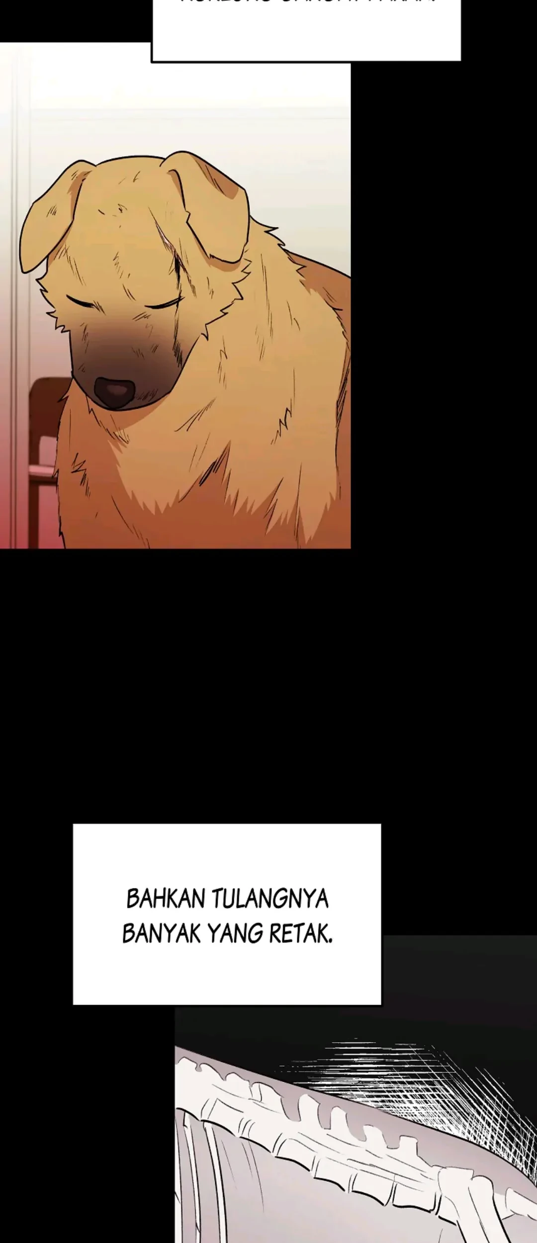 Hello? Veterinarian! Chapter 17 - Halaman 27