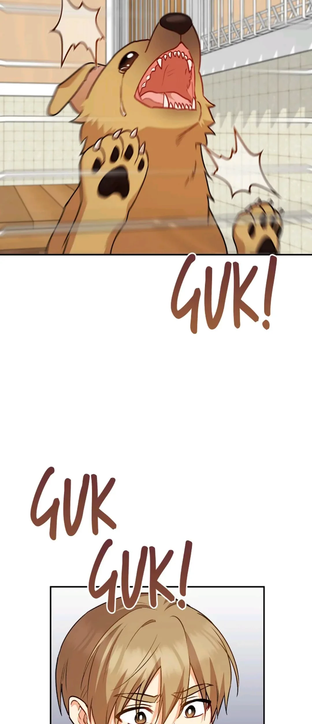 Hello? Veterinarian! Chapter 17 - Halaman 78