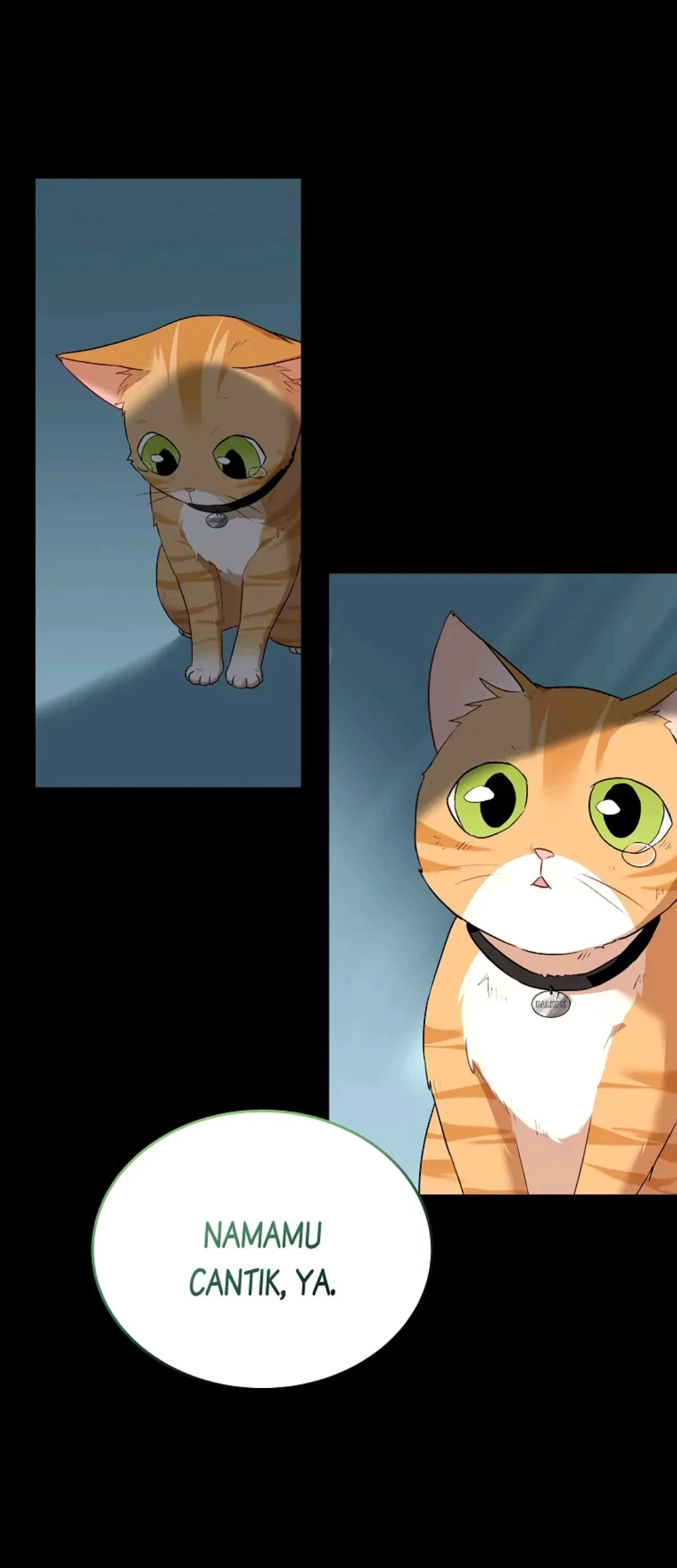Hello? Veterinarian! Chapter 07 - Halaman 61