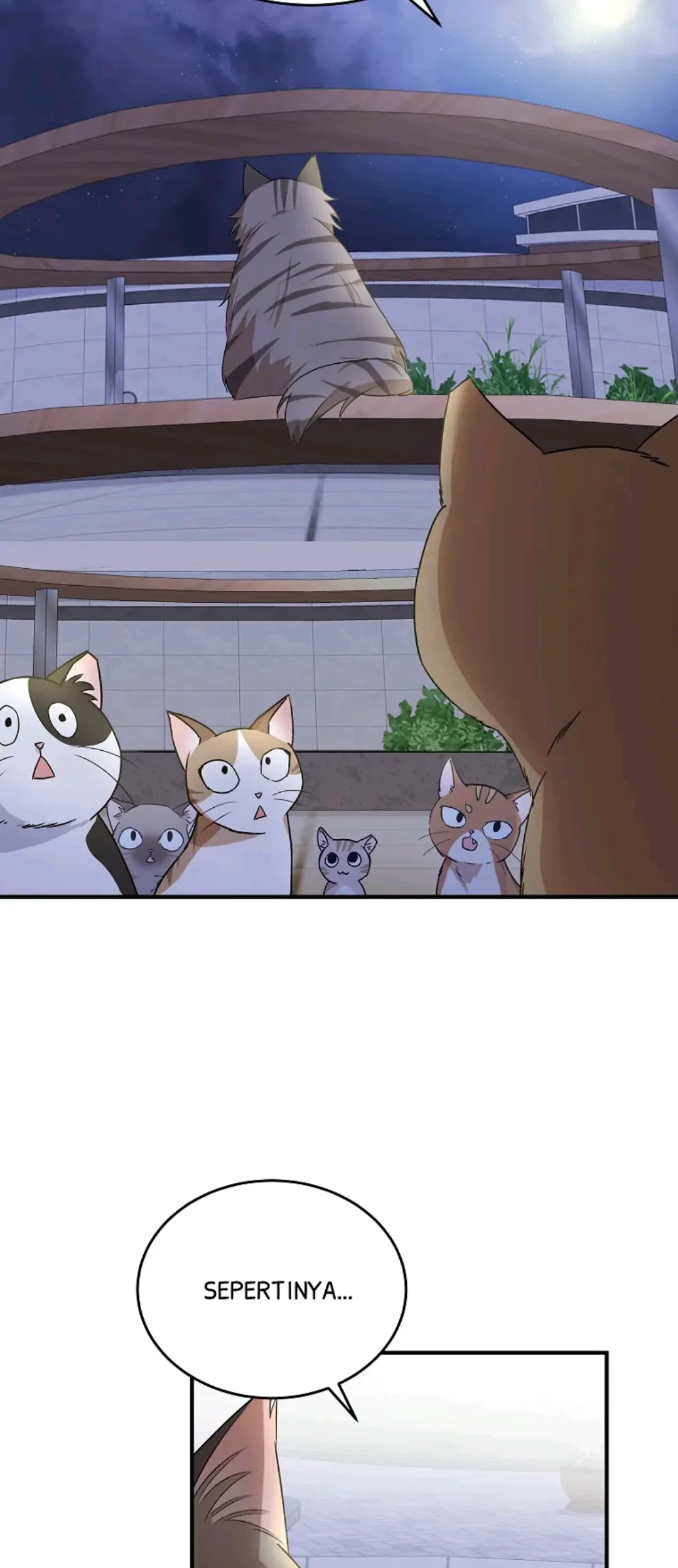 Hello? Veterinarian! Chapter 05 - Halaman 103
