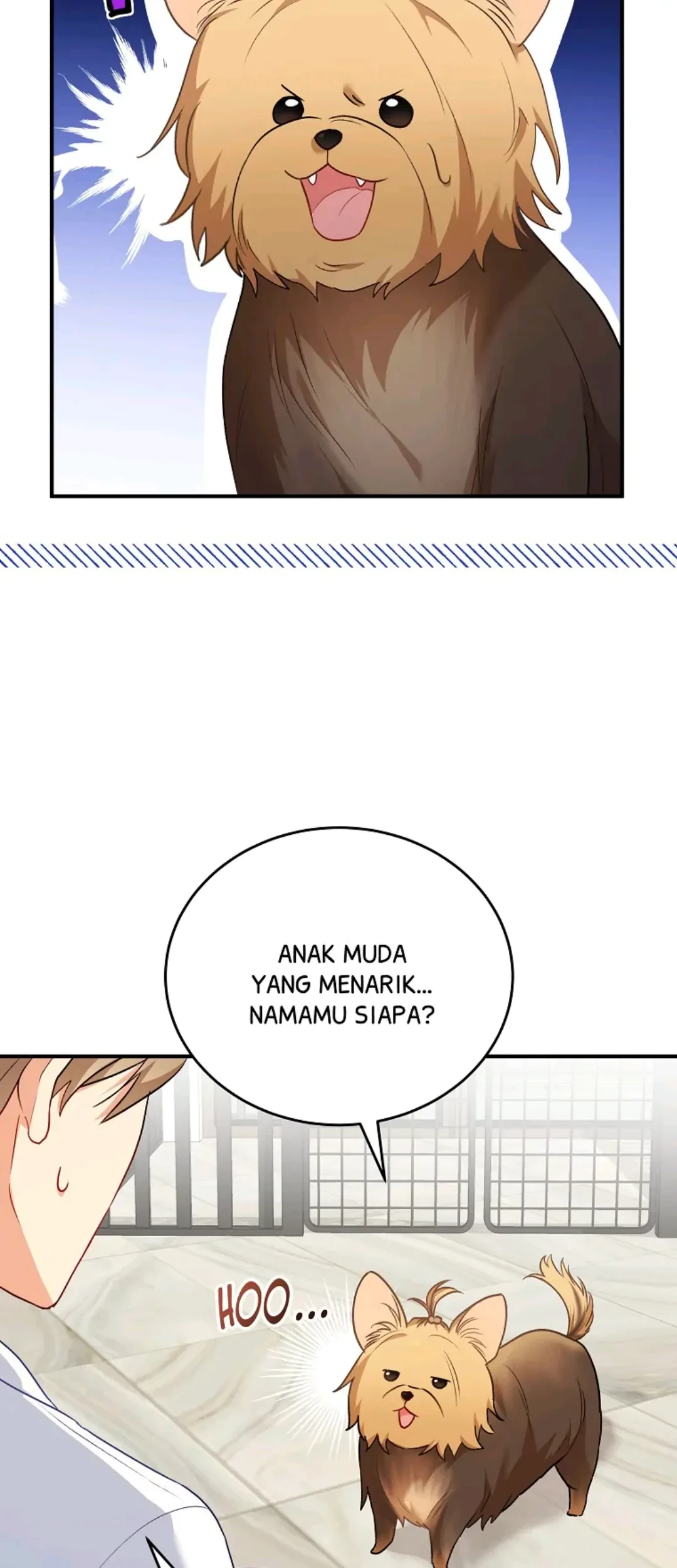 Hello? Veterinarian! Chapter 02 - Halaman 52