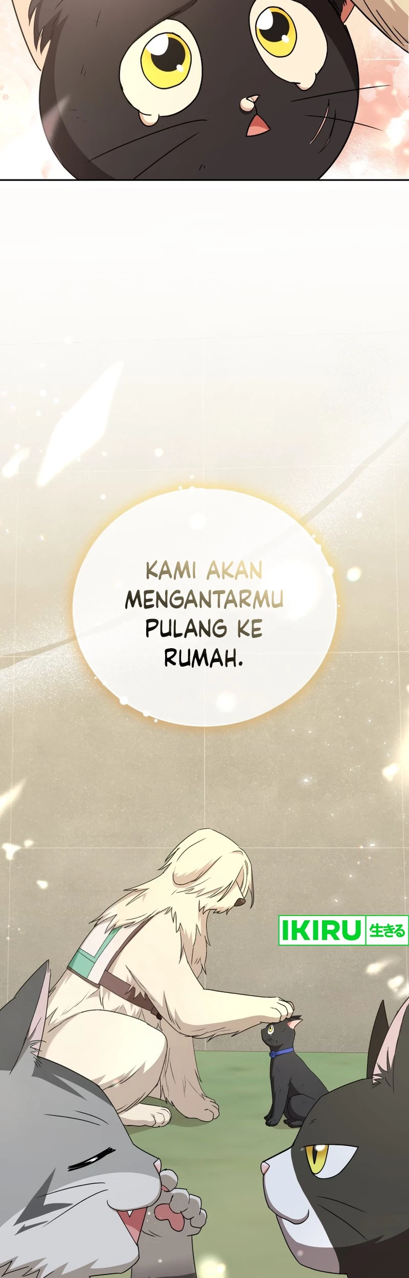 Hello? Veterinarian! Chapter 77 - Halaman 54