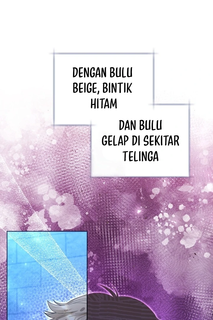 Manhwa Black Killer Whale Baby Chapter 42 gambar 2
