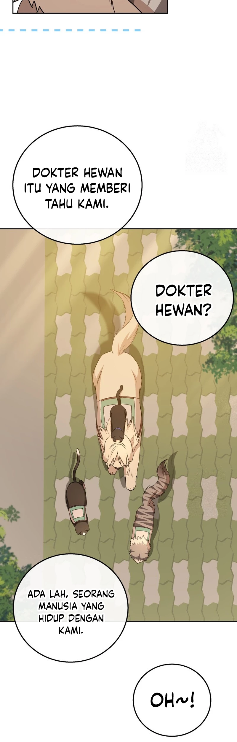 Hello? Veterinarian! Chapter 78 - Halaman 5