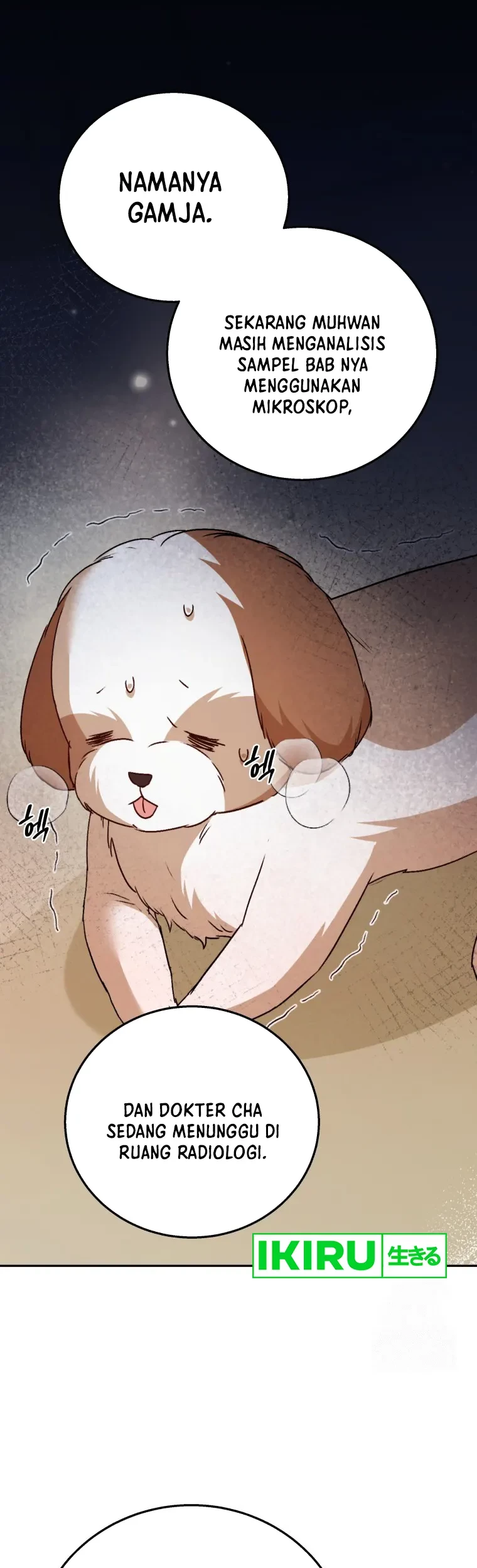 Manhwa Hello? Veterinarian! Chapter 80 gambar 2