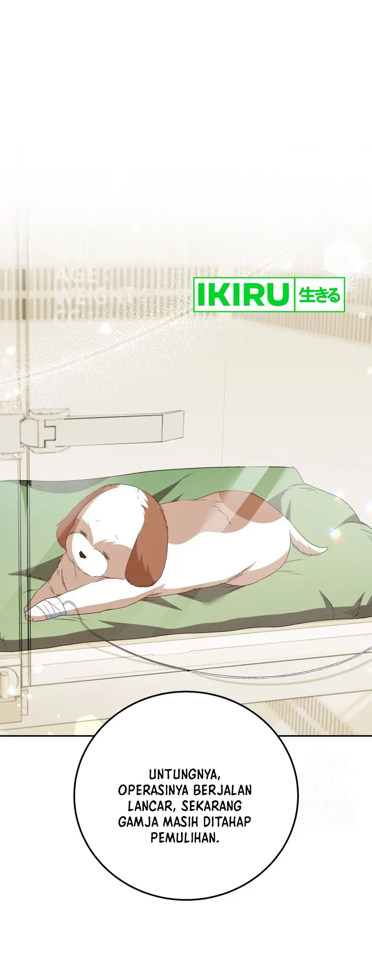 Hello? Veterinarian! Chapter 80 - Halaman 31
