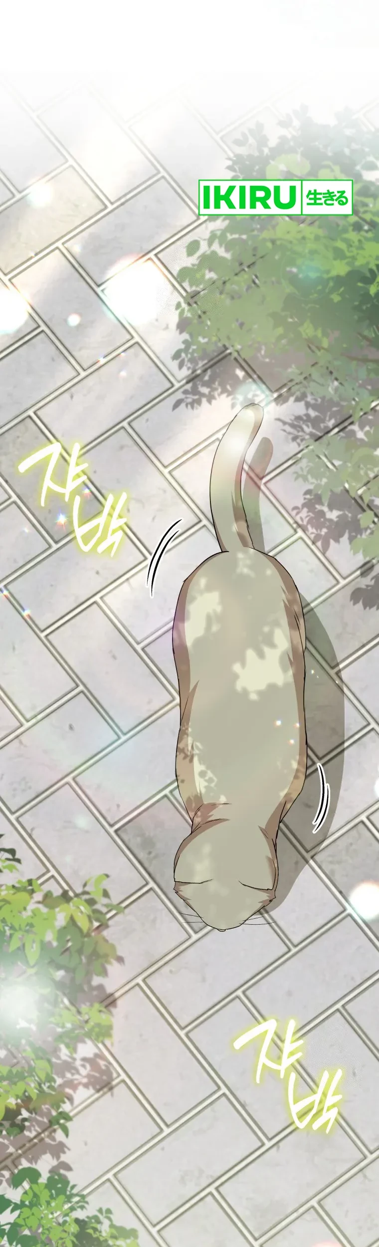 Manhwa Hello? Veterinarian! Chapter 81 gambar 2