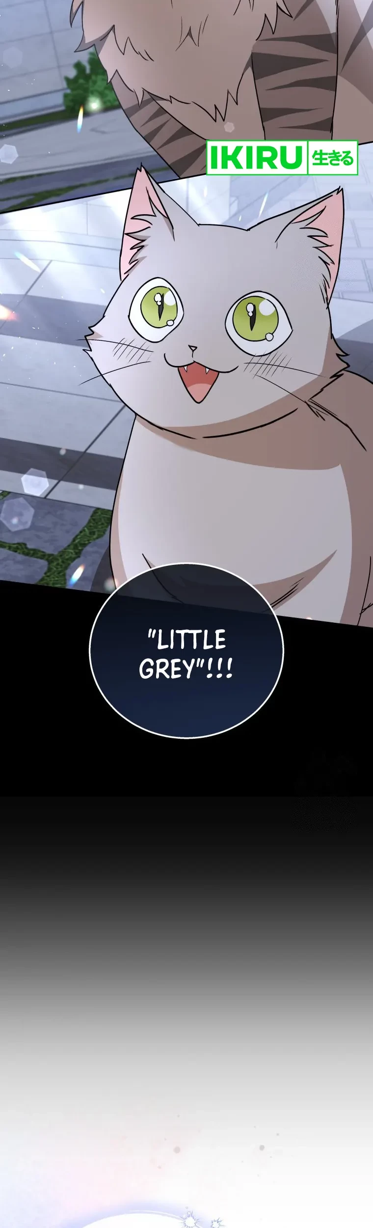 Hello? Veterinarian! Chapter 81 - Halaman 9