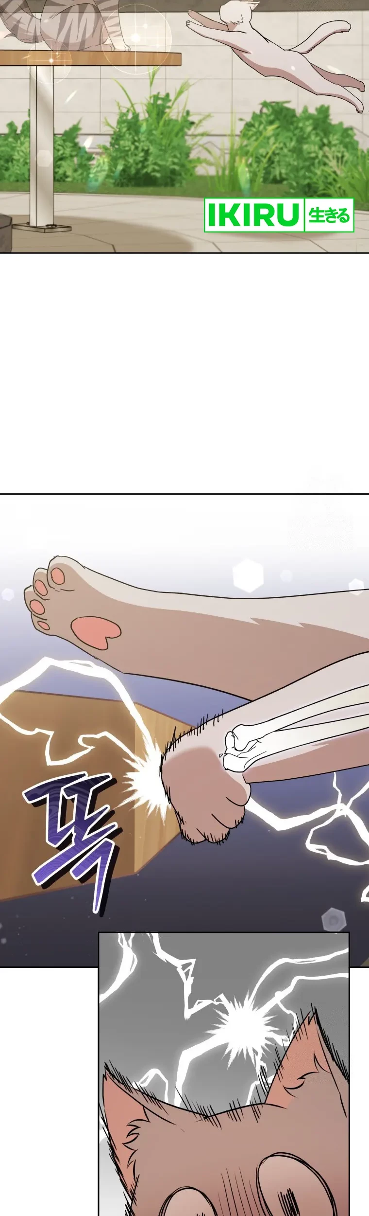 Hello? Veterinarian! Chapter 81 - Halaman 13