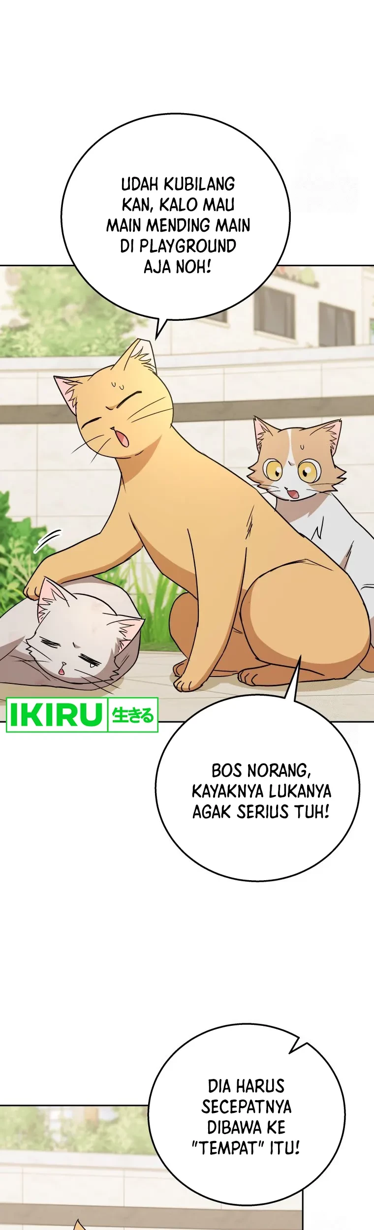 Hello? Veterinarian! Chapter 81 - Halaman 17