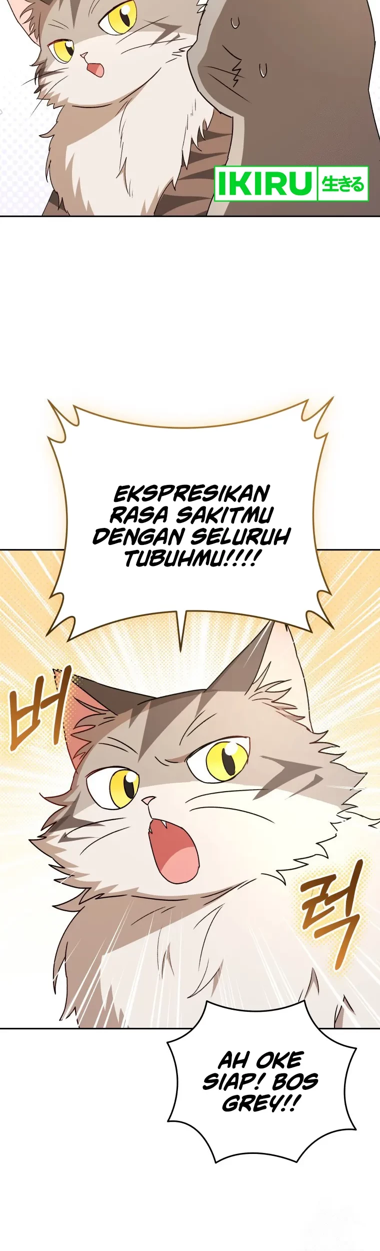 Hello? Veterinarian! Chapter 81 - Halaman 34
