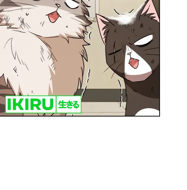 Hello? Veterinarian! Chapter 82 - Halaman 31