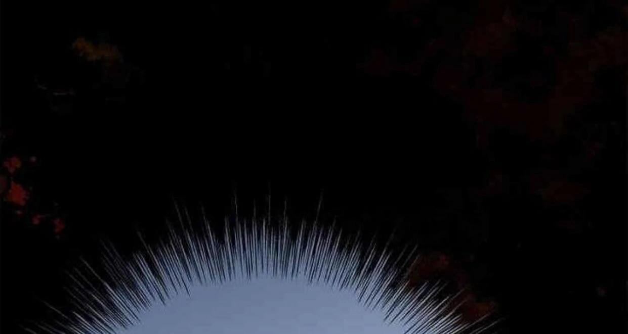 Requiem of Subdued Souls Chapter 21 - Halaman 47