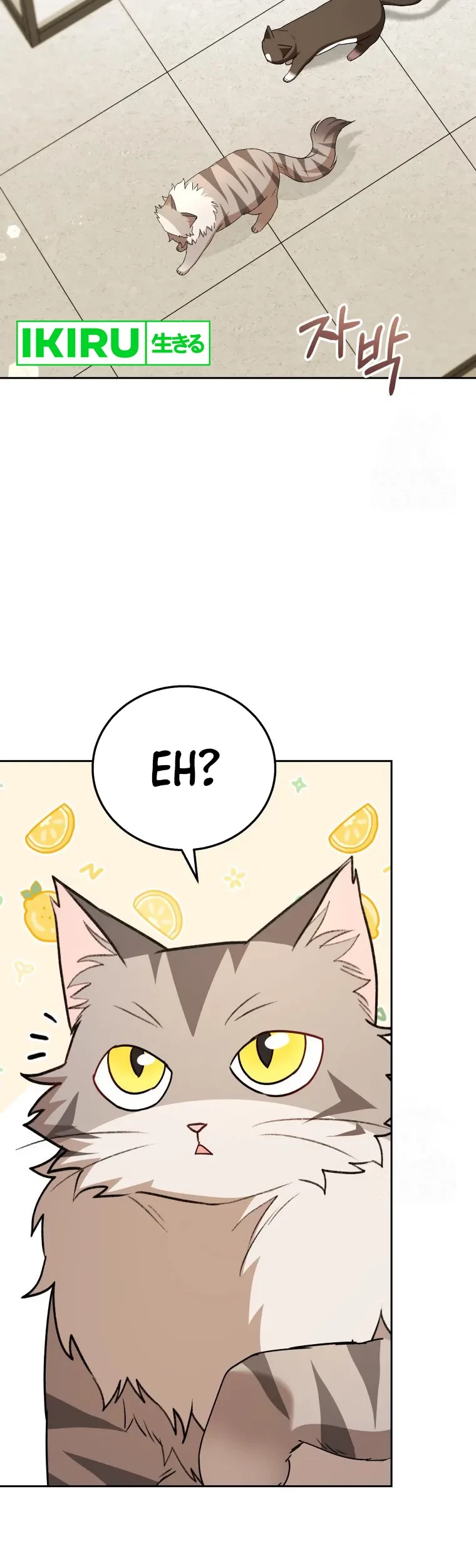 Hello? Veterinarian! Chapter 85 - Halaman 14