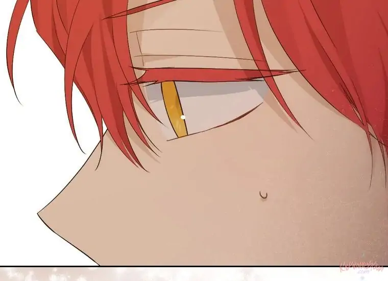 Actually, I Was the Real One Chapter 113 - Halaman 27