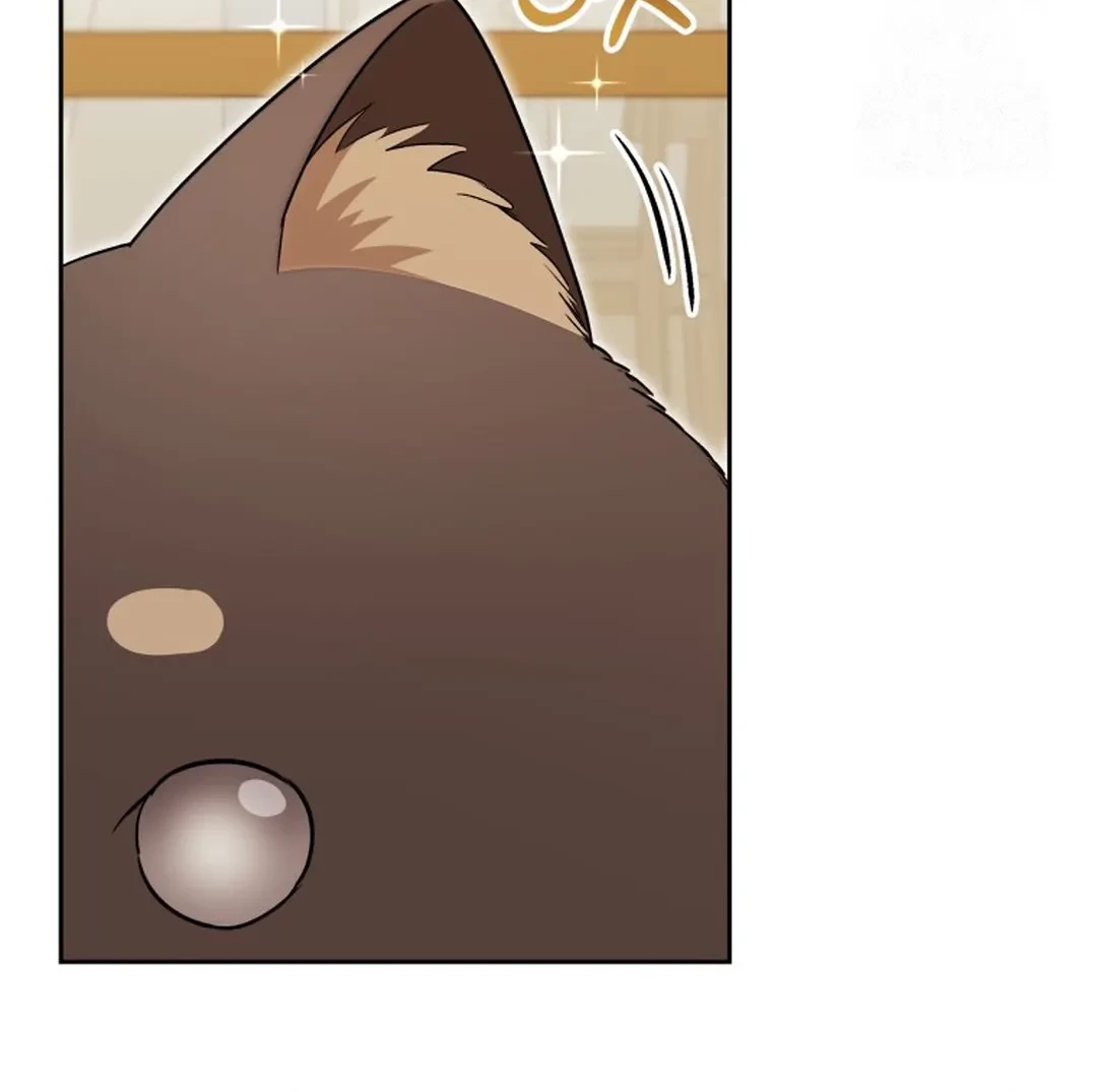 Hello? Veterinarian! Chapter 87 - Halaman 11