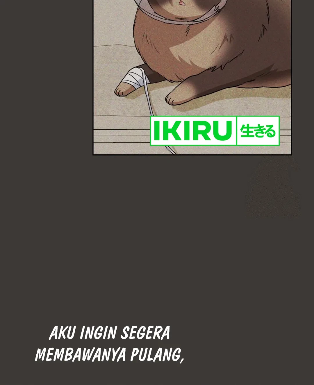 Hello? Veterinarian! Chapter 87 - Halaman 31
