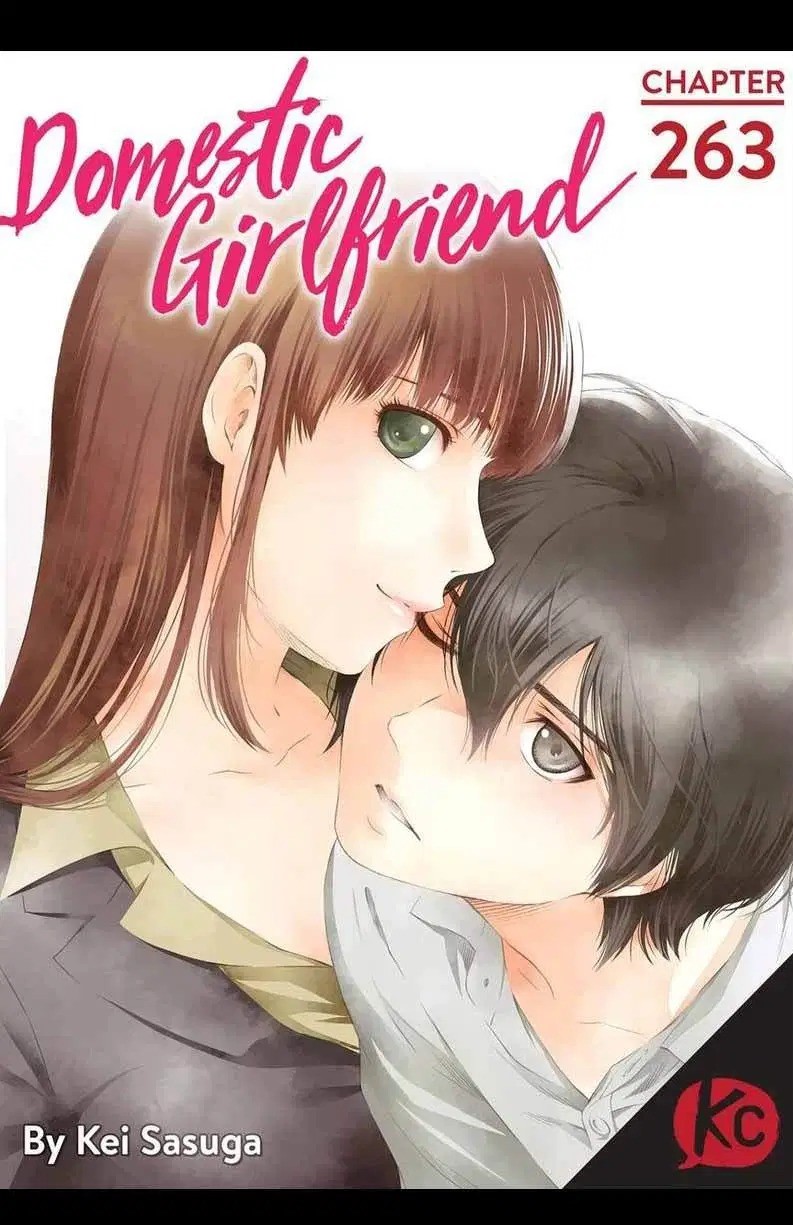 Komik Domestic na Kanojo Chapter 263 gambar 1