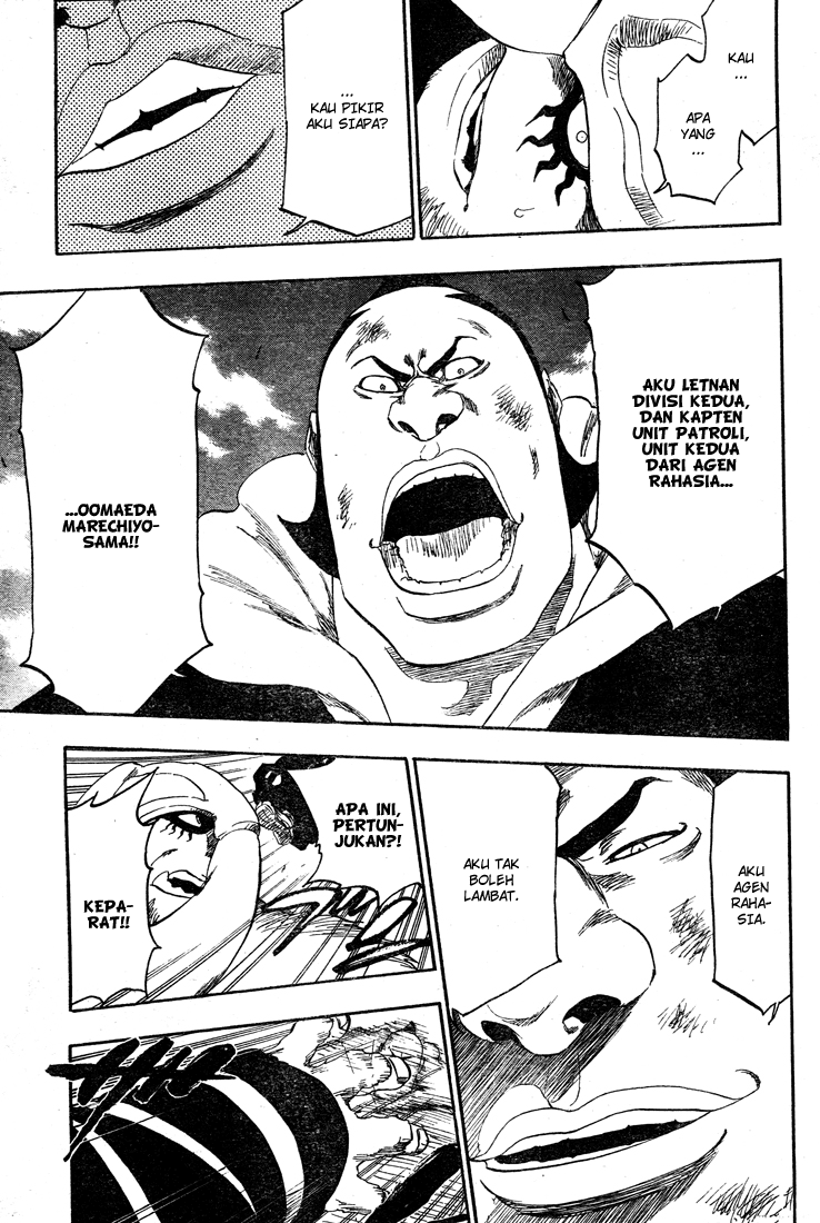 Bleach Chapter 331 - Halaman 17