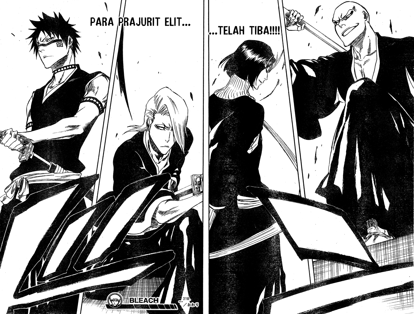 Bleach Chapter 318 - Halaman 17