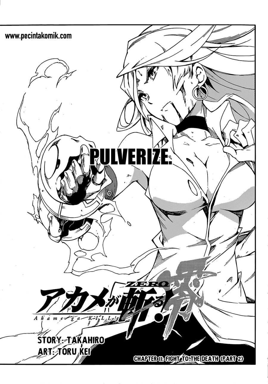 Akame ga Kill! Zero Chapter 11 - Halaman 3