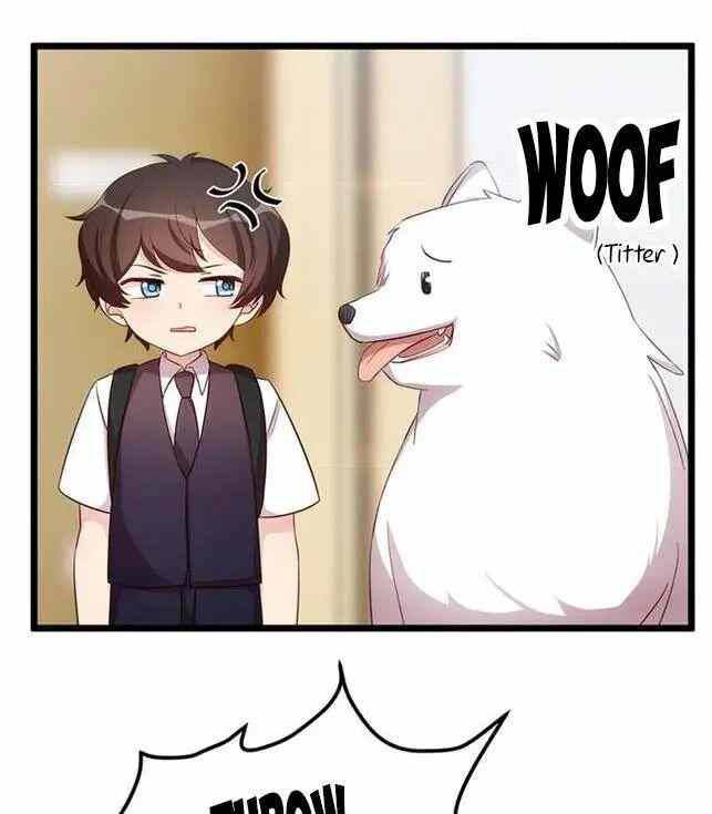 Manhua CEO’s Sudden Proposal Chapter 234 gambar 2