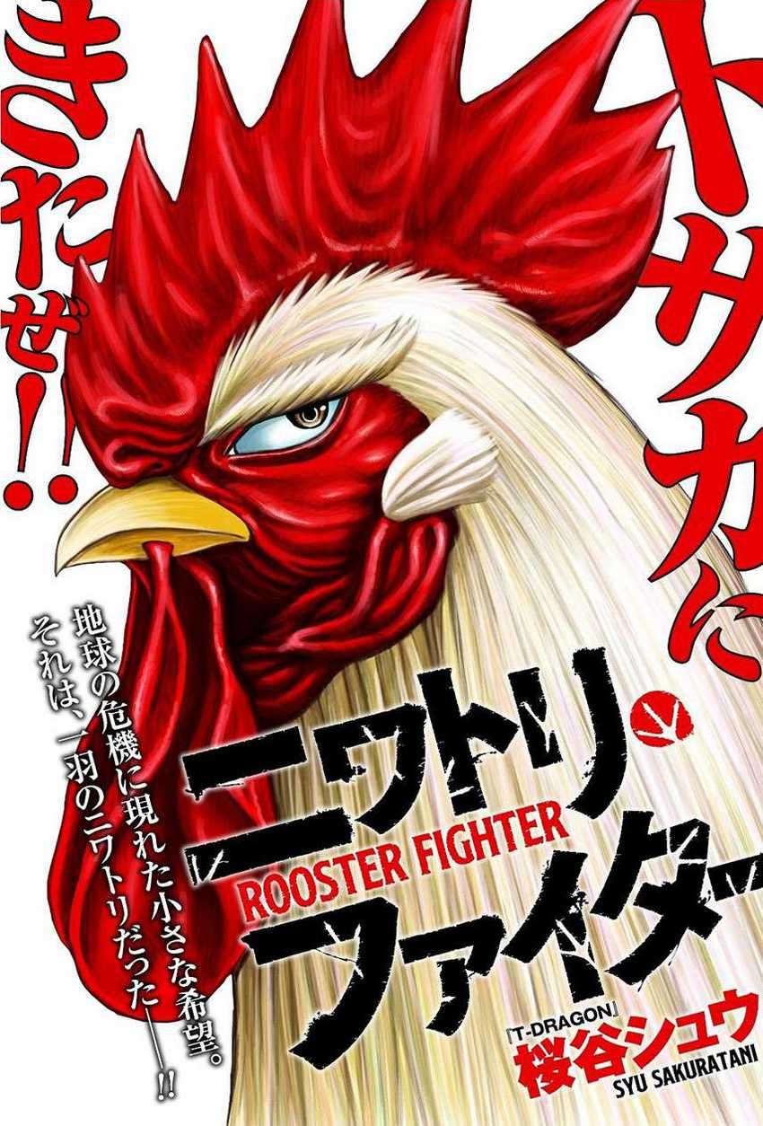 Komik Rooster Fighter Chapter 06 gambar 1